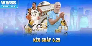 keo-chap-0-25